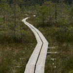 El futuro de la industria petrolera: ¿un camino hacia la sostenibilidad?